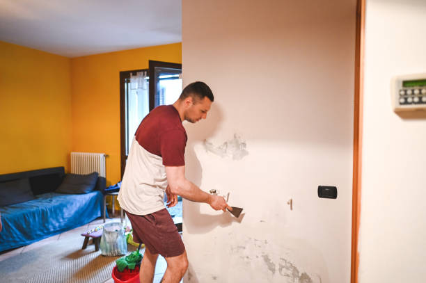 Best DIY Mold Remediation Support Services in Wright, FL